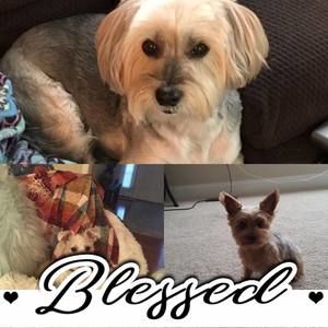 Meet your Posher, Kelli